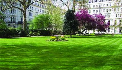 Garden House - Garden